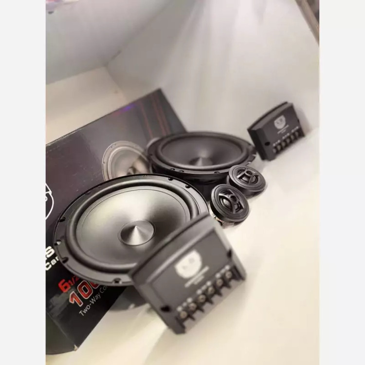 کامپوننت حرفه ای LS AUDIO 100وات