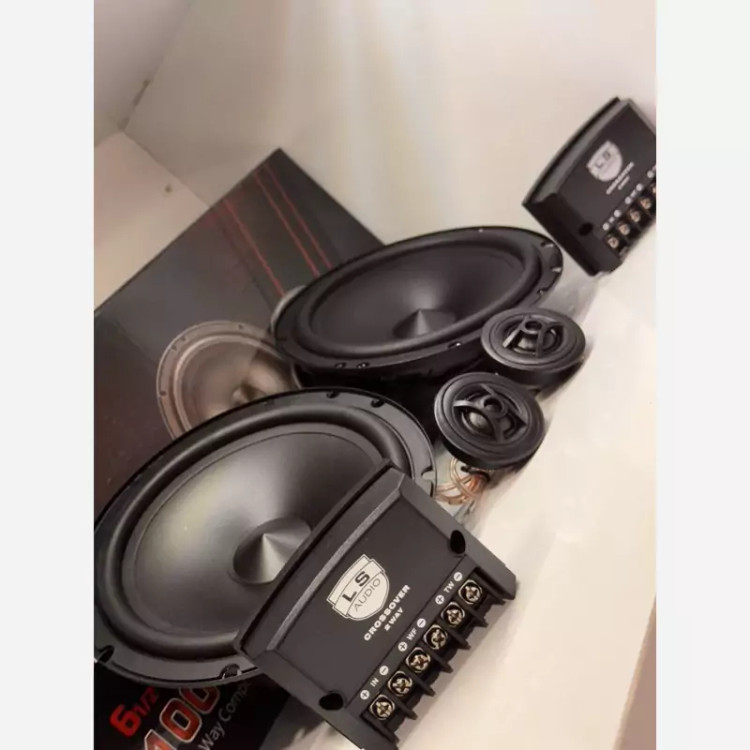 کامپوننت حرفه ای LS AUDIO 100وات